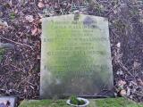 image of grave number 544334